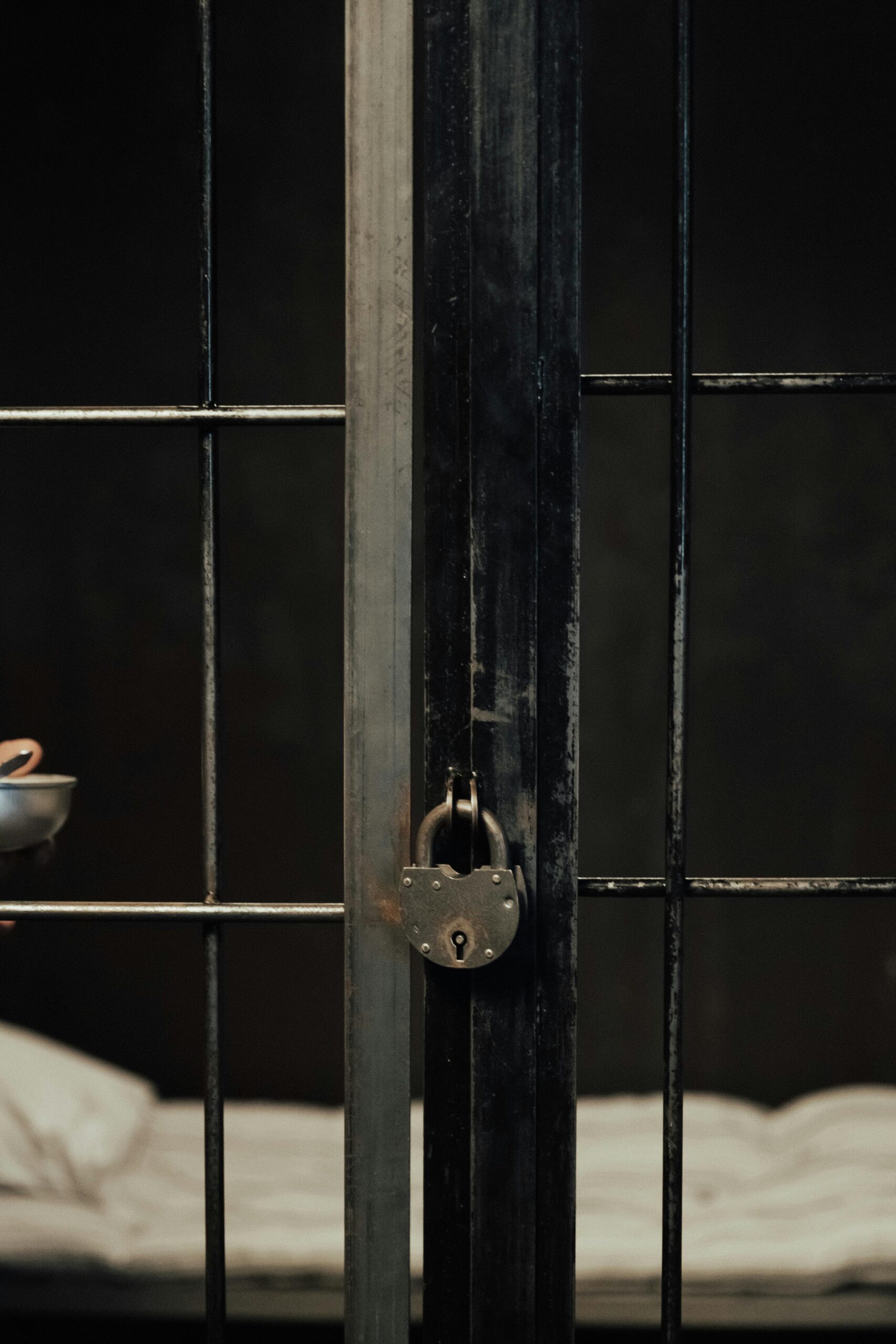 Ozark Law: What You Need to Know for Your Legal Protection?