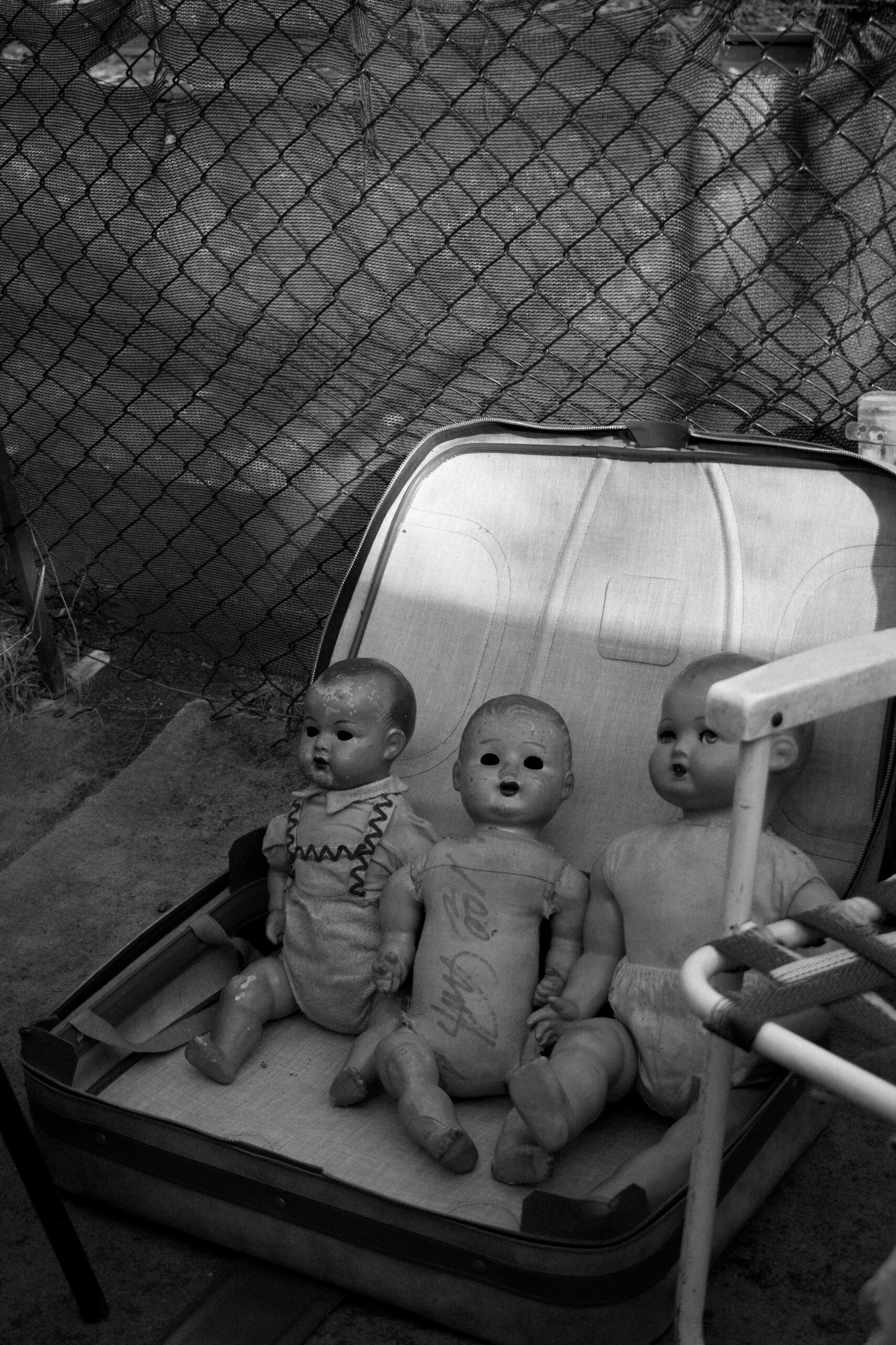 Weird Laws That Will Leave You Speechless and Curious to Learn More