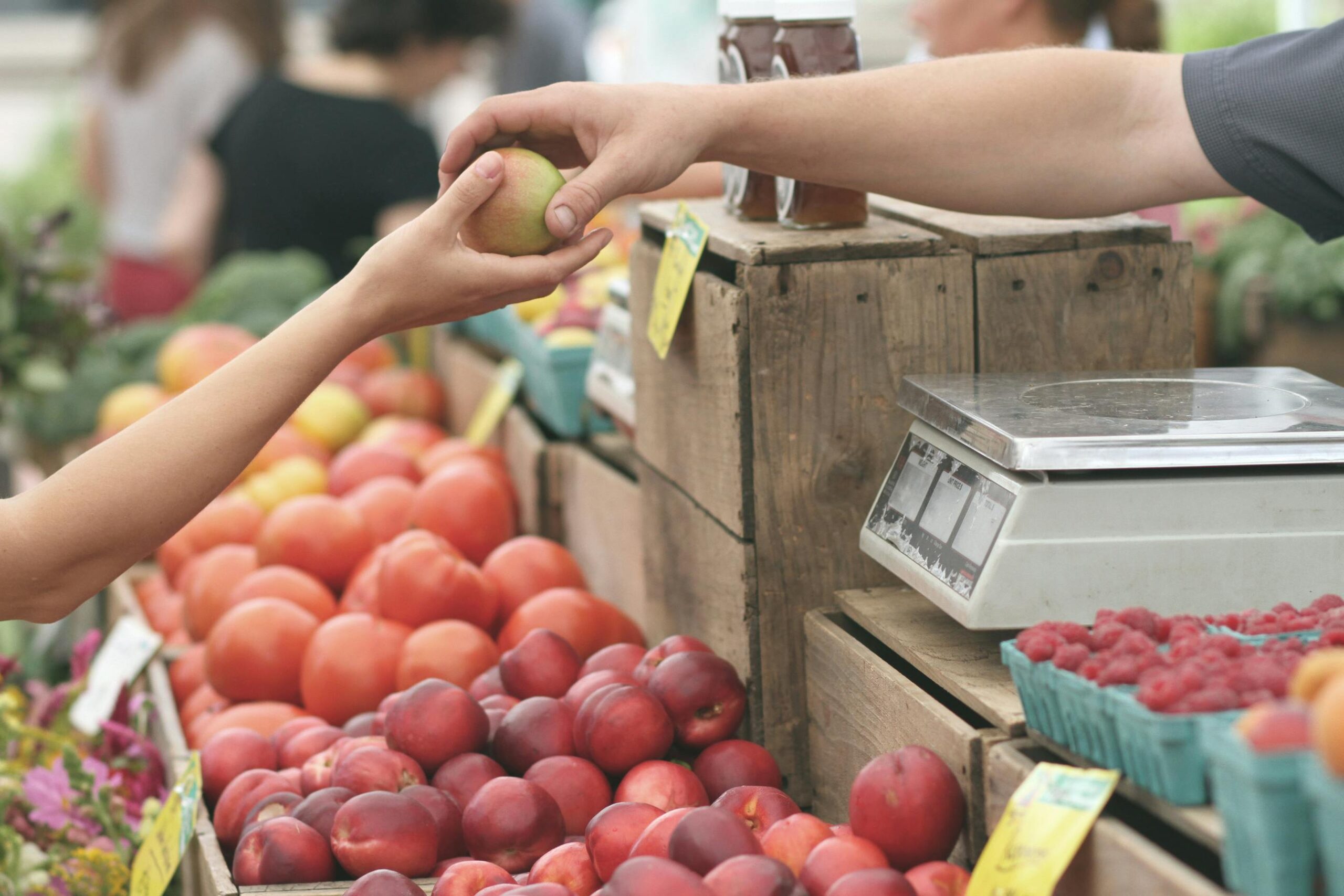 Granger Laws: How They Revolutionized Agriculture and Economy